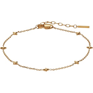 Alex and Ani Star Chain Anklet(Stainless Gold)