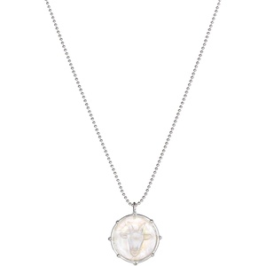 Alex and Ani Zodiac Charm Necklace(Alex and Ani Zodiac Necklace  Capricorn:Shiny Silver:Multi)