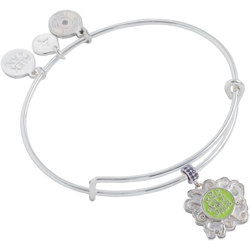 image:imageALEX AND ANI Beetlejuice Bangle  Bold Stripe Design Silver Black Logo NickelFree Add Spooky Flair to Everyday Stack Womens Fashion BraceletCharm Bangle