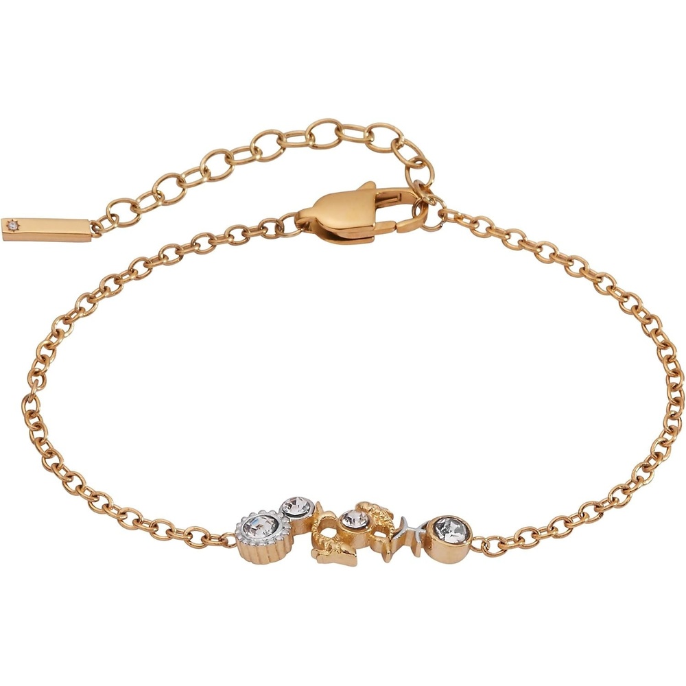 image:imageALEX AND ANI Zodiac Bracelet  TwoTone Stainless Steel with Clear Crystals NickelFree Zodiac Sign Bracelet for WomenPisces