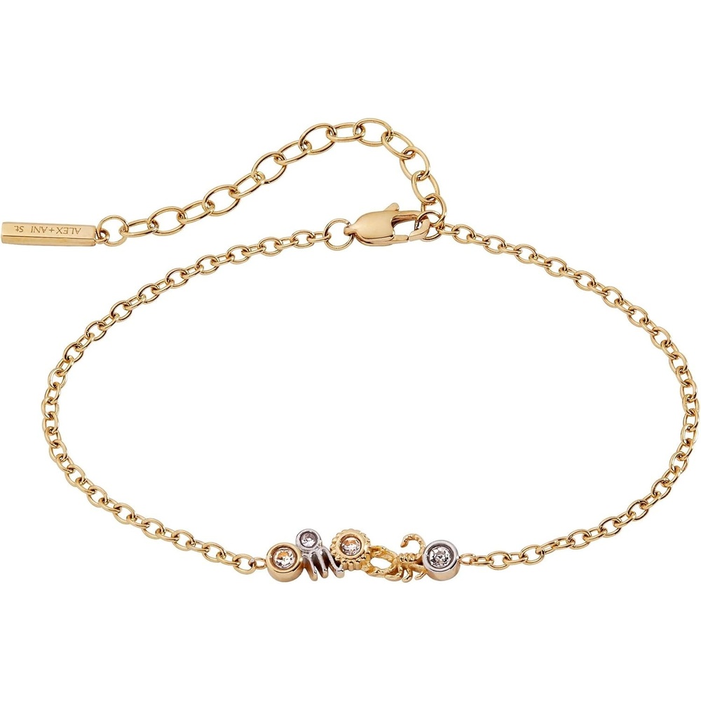 image:imageALEX AND ANI Zodiac Bracelet  TwoTone Stainless Steel with Clear Crystals NickelFree Zodiac Sign Bracelet for WomenScorpio