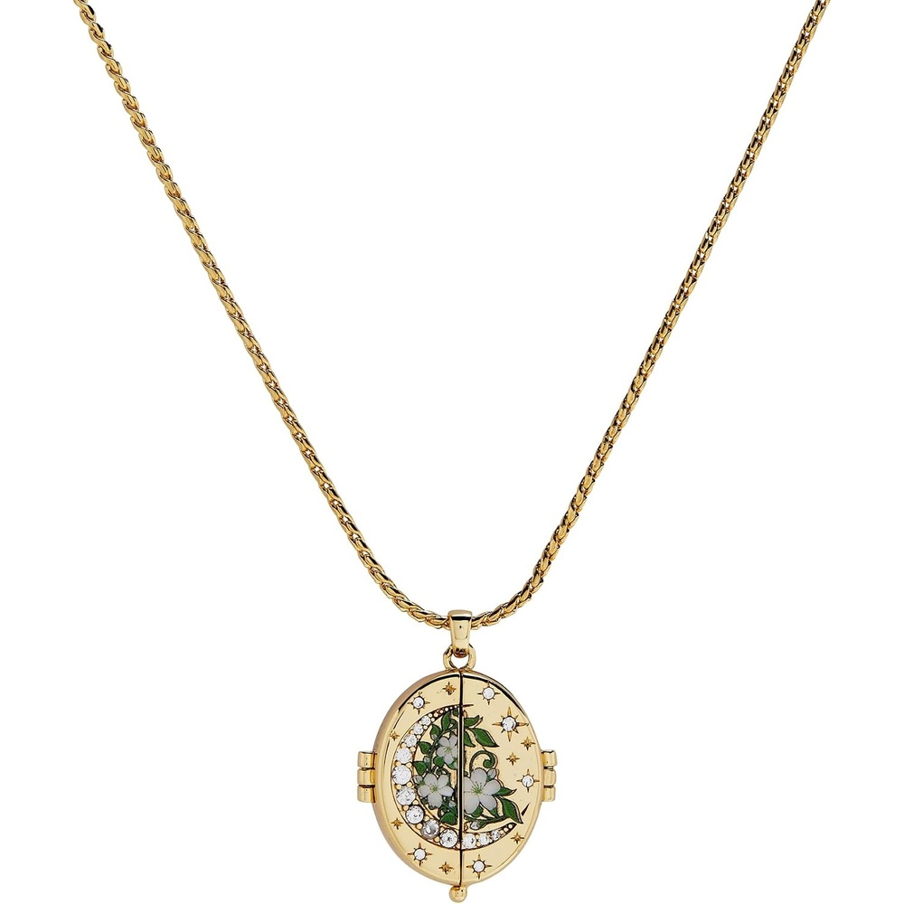 image:imageAlex and Ani A Court of Thorns and Roses NecklacesThere You Are Locket Necklace
