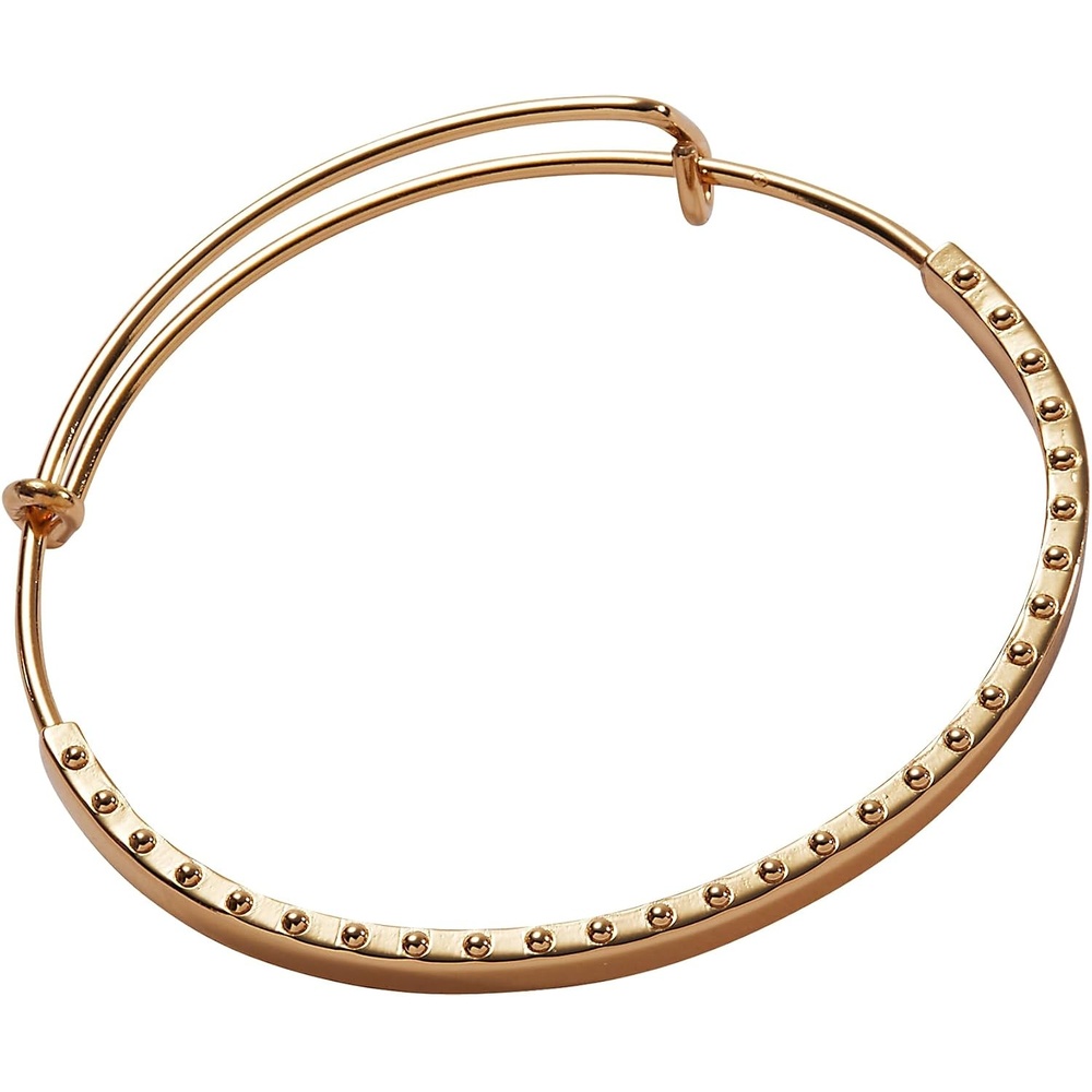 image:imageAlex and Ani Beaded Edge Decorative Charm Bangle