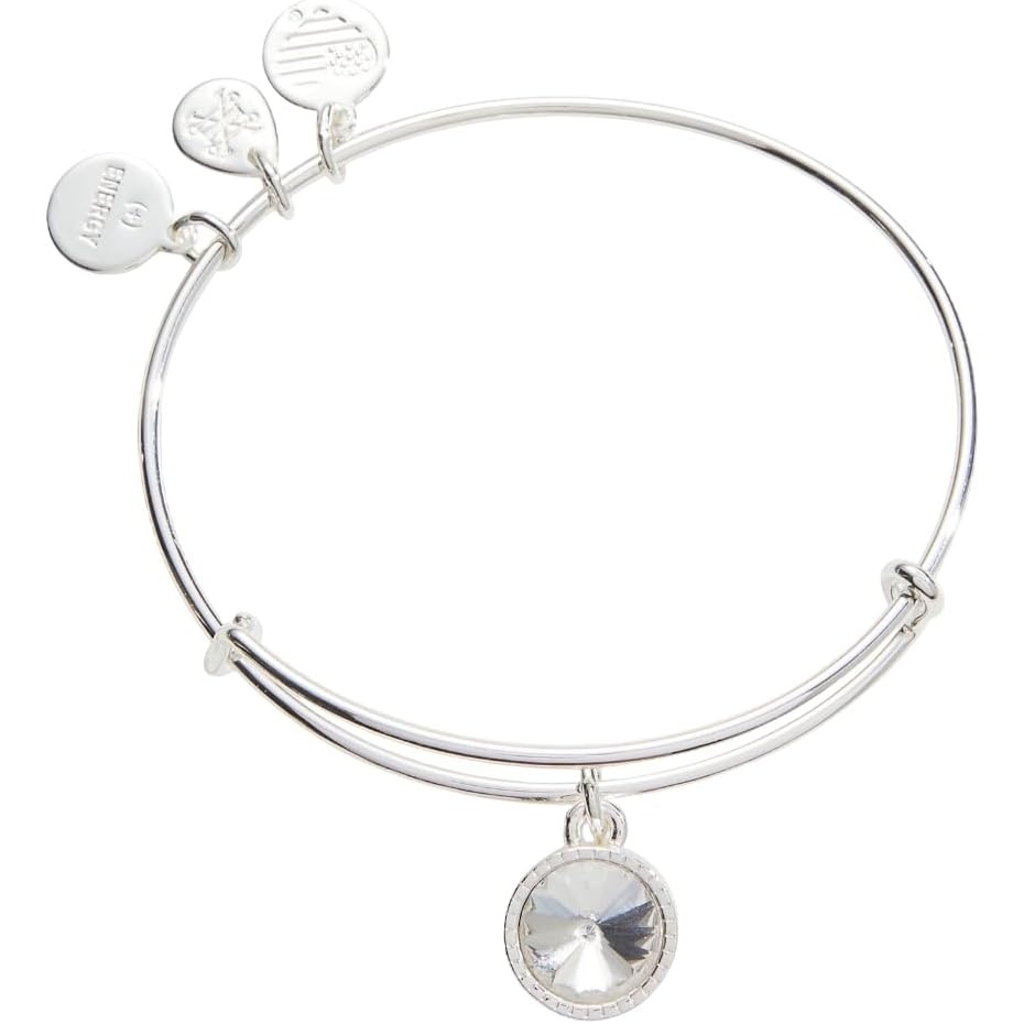 image:imageAlex and Ani Birthstones Expandable Bangle for Women Birthday Crystal Charms Shiny Finish 2 to 35 inShiny Silver