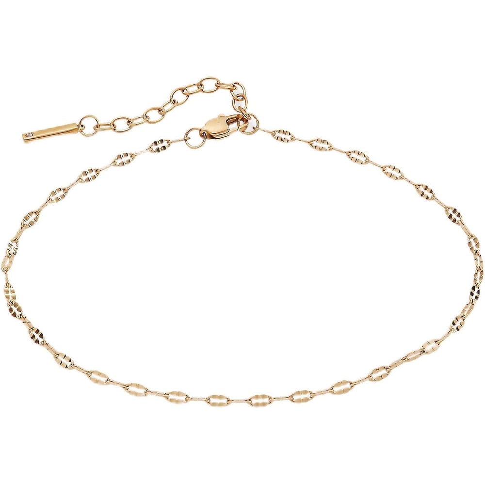 image:imageAlex and Ani Faceted Lip Chain AnkletShiny Gold