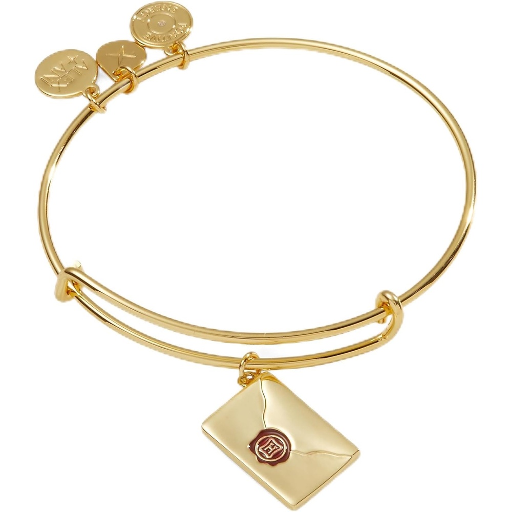 image:imageAlex and Ani Harry Potter Acceptance Letter Charm Bangle