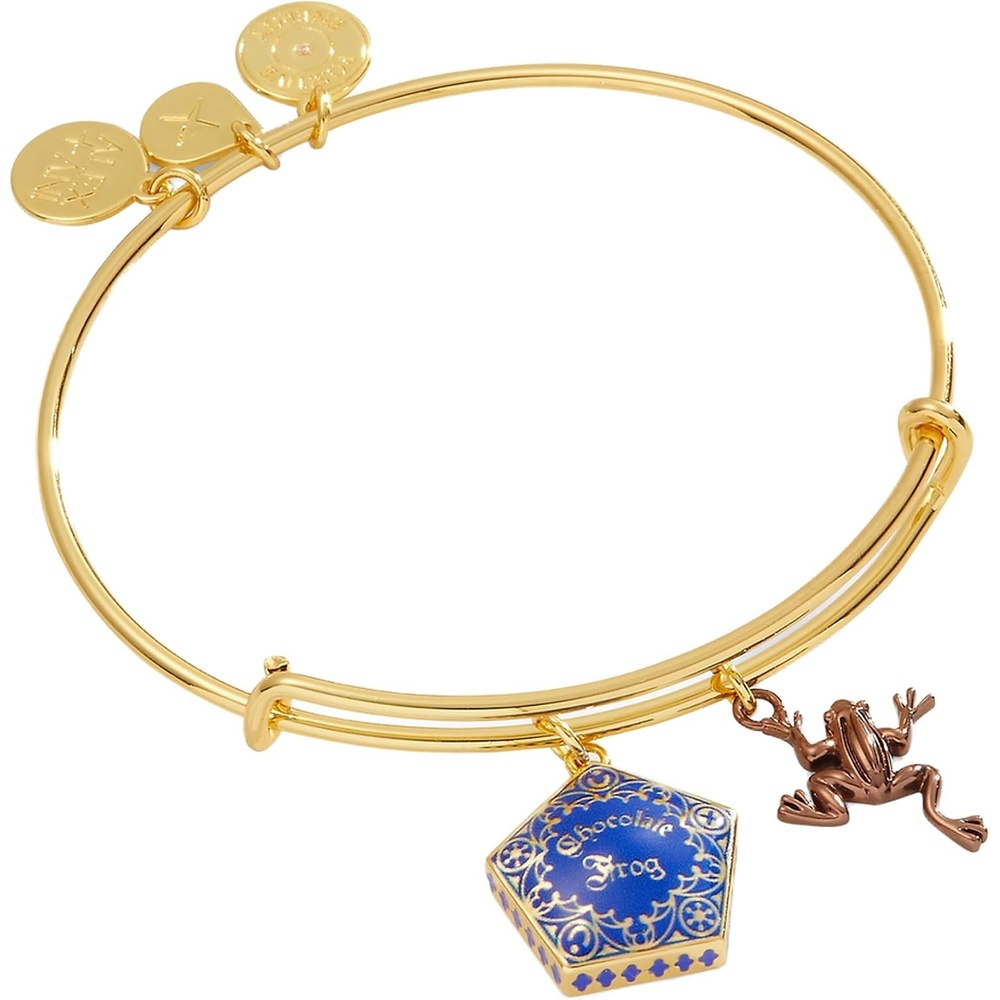 image:imageAlex and Ani Harry Potter Chocolate Frog TwoCharm Bangle