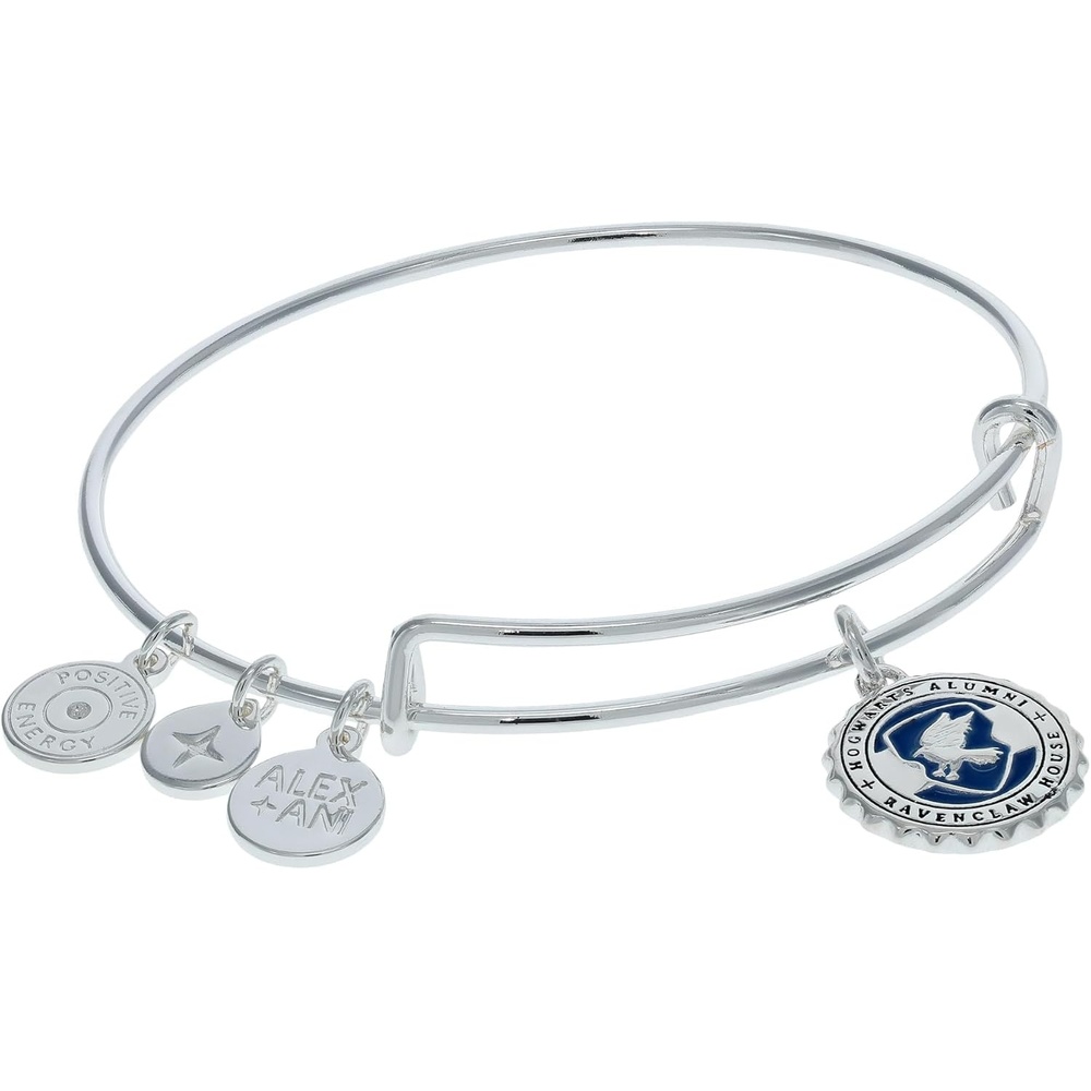 image:imageAlex and Ani Harry Potter Ravenclaw HouseCharm Bangle