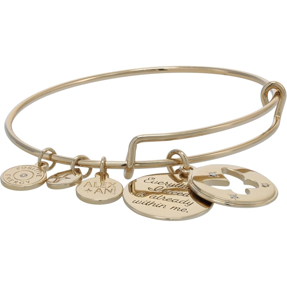 image:imageAlex and Ani Hidden Message Butterfly Affirmation Bangle
