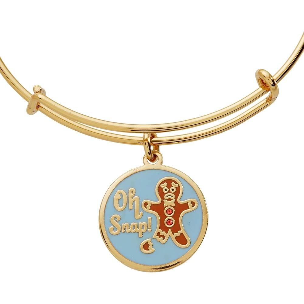 image:imageAlex and Ani Holiday BraceletsOh Snap