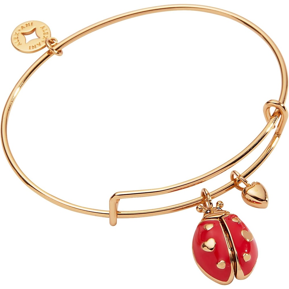 image:imageAlex and Ani Lady Bug BraceletLady Bug Bangle