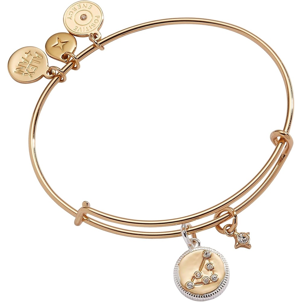 image:imageAlex and Ani Sagittarius Zodiac Charm BangleStainless Two Tone