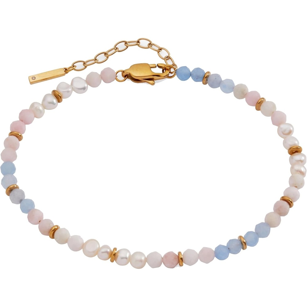 image:imageAlex and Ani SemiPrecious Beaded AnkletMulti
