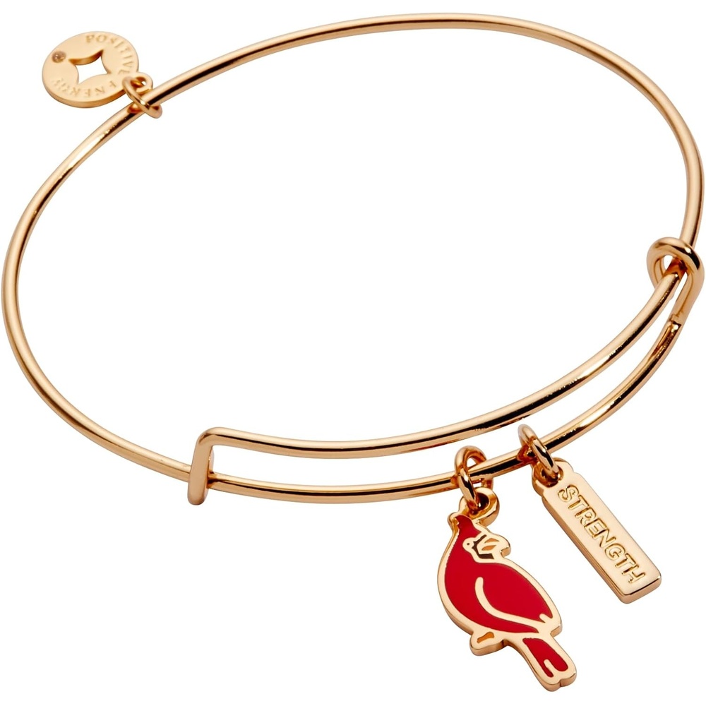 image:imageAlex and Ani Strength Cardinal Duo Charm Bangle BraceletGold