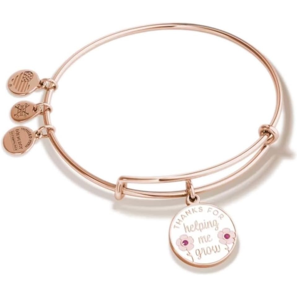 image:imageAlex and Ani Teacher Appreciation Expandable Bangle for Women 2 to 35 inWords Are Powerful Thanks for Helping Me Grow Bracelet