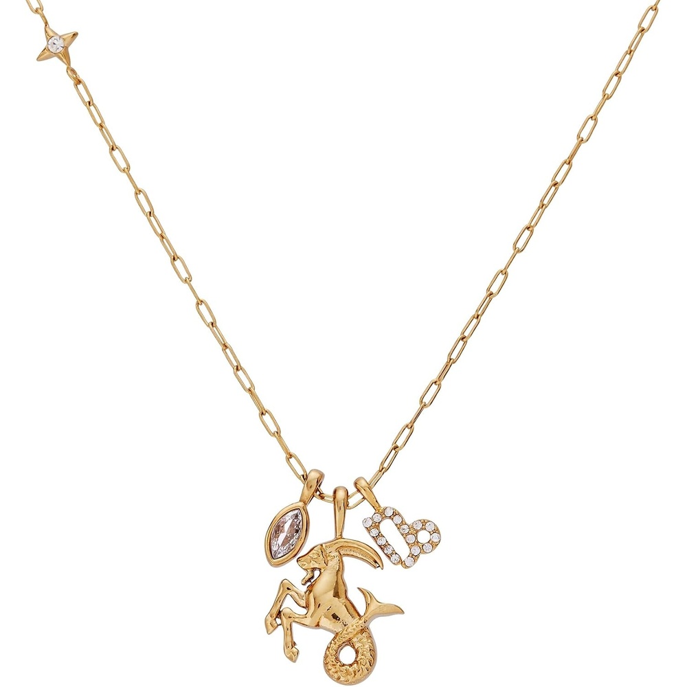 image:imageAlex and Ani Zodiac Charm Cluster NecklaceCapricorn