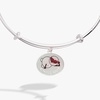 ALEX AND ANI Women’s Punny Winter Bracelets – Safe Materials, Elegant Jewelry, Trendy Bracelets for Women(Chill Out)
