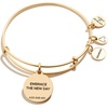 Alex and ANI Path of Symbols Expandable Bangle for Women, New Day Charm, Rafaelian Finish, 2 to 3.5 in(Rafaelian Gold Finish)