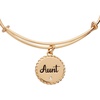 Alex and Ani Aunt Charm Bangle Bracelet for Women(Shiny Gold)