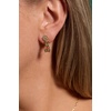 Alex and Ani Bunny Drop Earrings, Brass Shiny Gold