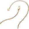 Alex and Ani Cosmic Cowgirl Necklaces(Cosmic Cowgirl Charm Necklace)