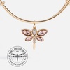 Alex and Ani Crystal Dragonfly Bangle