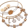 Alex and Ani Dog & Paw Themed Bracelet(Two Tone)