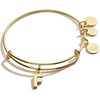 Alex and Ani Expandable Bangle for Women, Initials A to Z Letter Charms, Shiny Finish, 2 to 3.5 in(Shiny Gold)