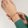 Alex and Ani Faceted Hook Tension Bracelet(Shiny Gold)