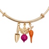 Alex and Ani Farmer’s Market Multi Charm Bangle, Brass Shiny Gold