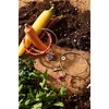 Alex and Ani Farmer’s Market Rooting For You Bangle, Brass Shiny Gold