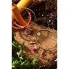 Alex and Ani Farmer’s Market Rooting For You Bangle, Brass Shiny Gold