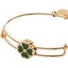 Alex and Ani Four Leaf Clover Lucky Bracelets(Four-Leaf Clover Slider Charm Bangle)