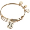Alex and Ani Friend ‘United by Soul, Let the Good Times Roll’ Charm Bangle(Gold)