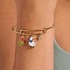 Alex and Ani Garden Party Bracelet(Duo Charm Bangle)