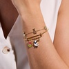 Alex and Ani Garden Party Bracelet(Inline Charm)