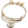 Alex and Ani Godmother Charm Bangle(Gold)