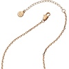 Alex and Ani Graduation 2026 Necklace(Shiny Gold)