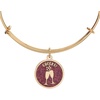 Alex and Ani Happy New Year Glitter Bangle(Cheers)
