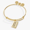 Alex and Ani Harry Potter Acceptance Letter Charm Bangle