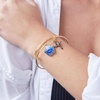 Alex and Ani Harry Potter Chocolate Frog Two-Charm Bangle