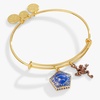Alex and Ani Harry Potter Chocolate Frog Two-Charm Bangle