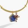 Alex and Ani Harry Potter Chocolate Frog Two-Charm Bangle