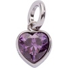 Alex and Ani Heart Birthstone Charms(Clarity)