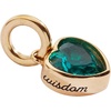 Alex and Ani Heart Birthstone Charms(Wisdom)
