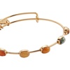 Alex and Ani In-Line Semi-Precious Gemstone Bangle
