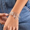 Alex and Ani Initial P III Bangle Bracelet(Shiny Silver)
