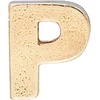 Alex and Ani Initial P Slider Charm