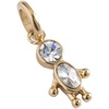 Alex and Ani Interchangeable Gemstone Charm​(Stainless Gold)