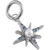 Alex and Ani Interchangeable Gemstone Charm​(Stainless Silver)
